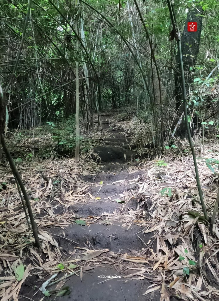 monk’s trail, reviewchiangmai, ดอยสุเทพ, รีวิวเชียงใหม่, วัดผาลาด, วิ่งเทรลเชียงใหม่, เดินป่าเชียงใหม่, เดินเขาเชียงใหม่, เดินป่าเชียงใหม่ พาเที่ยววัดผาลาด – ดอยสุเทพ เส้นทางศึกษาธรรมชาติ