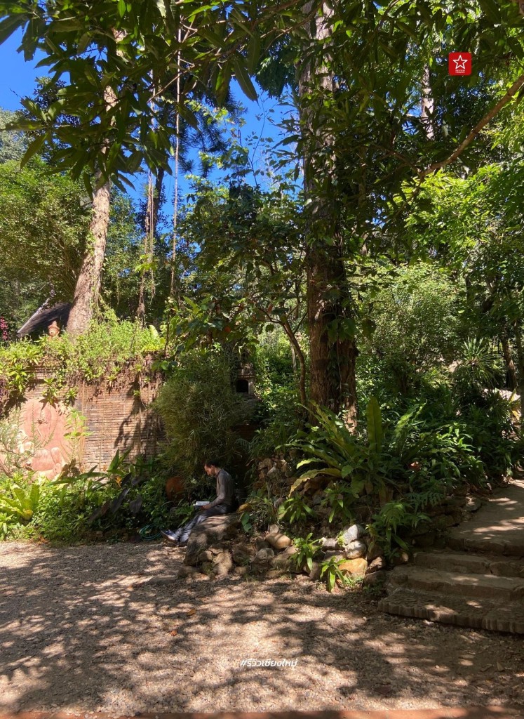 monk’s trail, reviewchiangmai, ดอยสุเทพ, รีวิวเชียงใหม่, วัดผาลาด, วิ่งเทรลเชียงใหม่, เดินป่าเชียงใหม่, เดินเขาเชียงใหม่, เดินป่าเชียงใหม่ พาเที่ยววัดผาลาด – ดอยสุเทพ เส้นทางศึกษาธรรมชาติ