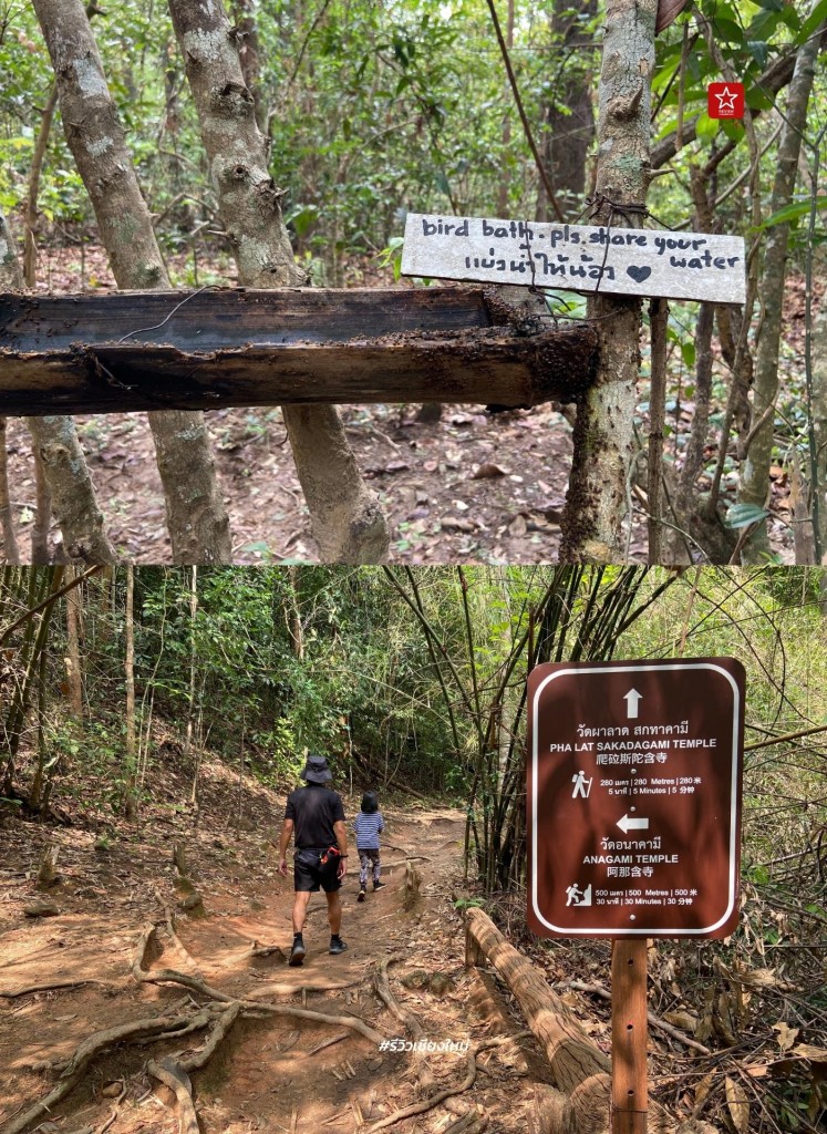 monk’s trail, reviewchiangmai, ดอยสุเทพ, รีวิวเชียงใหม่, วัดผาลาด, วิ่งเทรลเชียงใหม่, เดินป่าเชียงใหม่, เดินเขาเชียงใหม่, เดินป่าเชียงใหม่ พาเที่ยววัดผาลาด – ดอยสุเทพ เส้นทางศึกษาธรรมชาติ