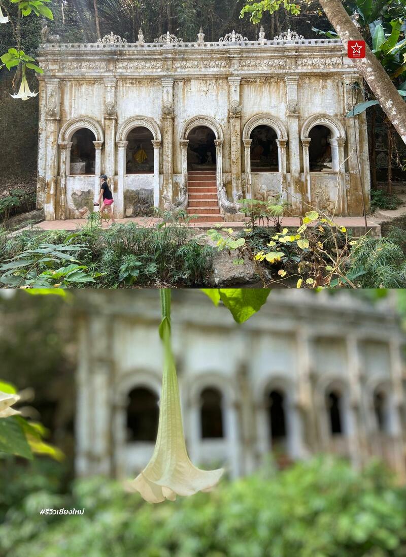 monk’s trail, reviewchiangmai, ดอยสุเทพ, รีวิวเชียงใหม่, วัดผาลาด, วิ่งเทรลเชียงใหม่, เดินป่าเชียงใหม่, เดินเขาเชียงใหม่, เดินป่าเชียงใหม่ พาเที่ยววัดผาลาด – ดอยสุเทพ เส้นทางศึกษาธรรมชาติ