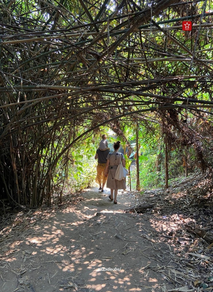 monk’s trail, reviewchiangmai, ดอยสุเทพ, รีวิวเชียงใหม่, วัดผาลาด, วิ่งเทรลเชียงใหม่, เดินป่าเชียงใหม่, เดินเขาเชียงใหม่, เดินป่าเชียงใหม่ พาเที่ยววัดผาลาด – ดอยสุเทพ เส้นทางศึกษาธรรมชาติ