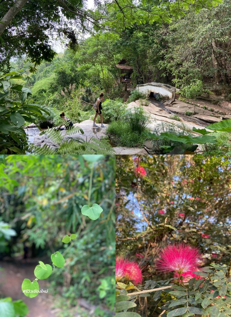 monk’s trail, reviewchiangmai, ดอยสุเทพ, รีวิวเชียงใหม่, วัดผาลาด, วิ่งเทรลเชียงใหม่, เดินป่าเชียงใหม่, เดินเขาเชียงใหม่, เดินป่าเชียงใหม่ พาเที่ยววัดผาลาด – ดอยสุเทพ เส้นทางศึกษาธรรมชาติ