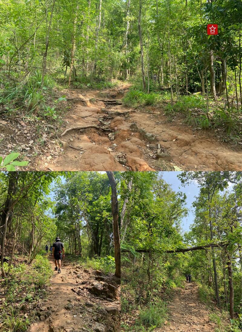 monk’s trail, reviewchiangmai, ดอยสุเทพ, รีวิวเชียงใหม่, วัดผาลาด, วิ่งเทรลเชียงใหม่, เดินป่าเชียงใหม่, เดินเขาเชียงใหม่, เดินป่าเชียงใหม่ พาเที่ยววัดผาลาด – ดอยสุเทพ เส้นทางศึกษาธรรมชาติ