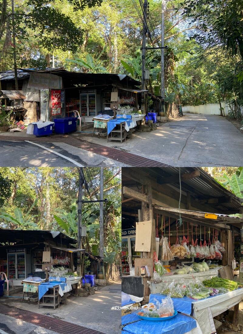 monk’s trail, reviewchiangmai, ดอยสุเทพ, รีวิวเชียงใหม่, วัดผาลาด, วิ่งเทรลเชียงใหม่, เดินป่าเชียงใหม่, เดินเขาเชียงใหม่, เดินป่าเชียงใหม่ พาเที่ยววัดผาลาด – ดอยสุเทพ เส้นทางศึกษาธรรมชาติ