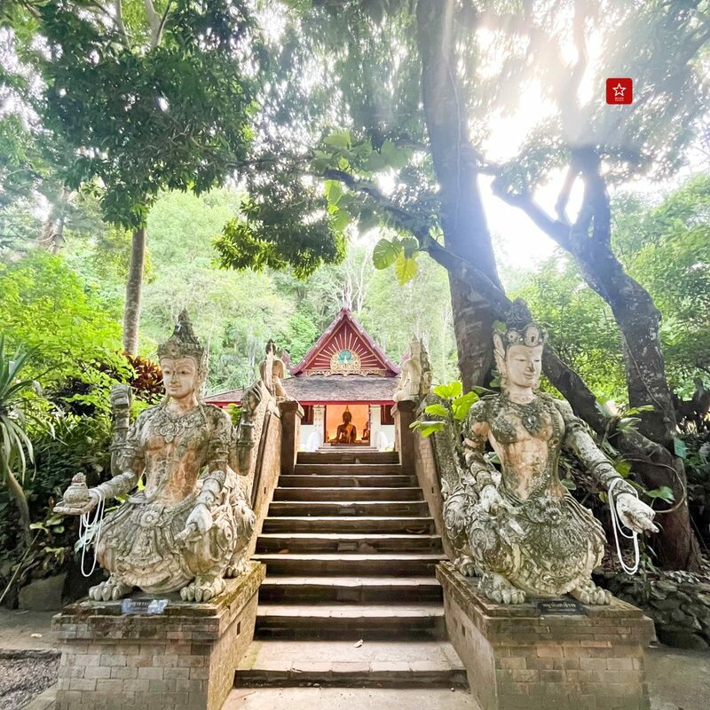 monk’s trail, reviewchiangmai, ดอยสุเทพ, รีวิวเชียงใหม่, วัดผาลาด, วิ่งเทรลเชียงใหม่, เดินป่าเชียงใหม่, เดินเขาเชียงใหม่, เดินป่าเชียงใหม่ พาเที่ยววัดผาลาด – ดอยสุเทพ เส้นทางศึกษาธรรมชาติ