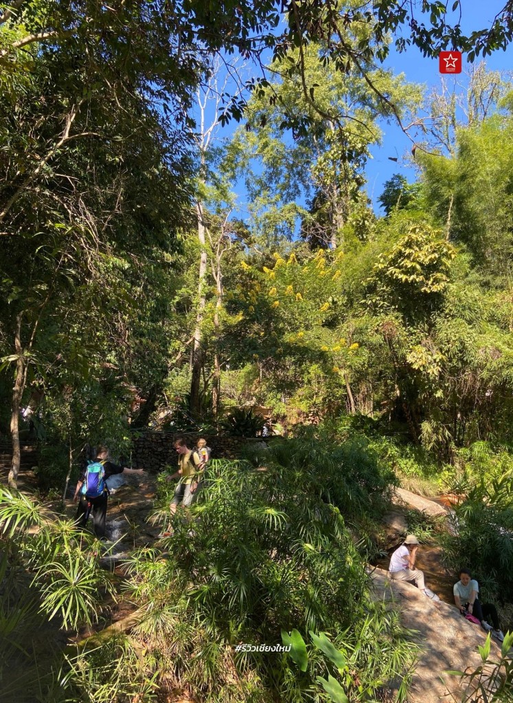 monk’s trail, reviewchiangmai, ดอยสุเทพ, รีวิวเชียงใหม่, วัดผาลาด, วิ่งเทรลเชียงใหม่, เดินป่าเชียงใหม่, เดินเขาเชียงใหม่, เดินป่าเชียงใหม่ พาเที่ยววัดผาลาด – ดอยสุเทพ เส้นทางศึกษาธรรมชาติ