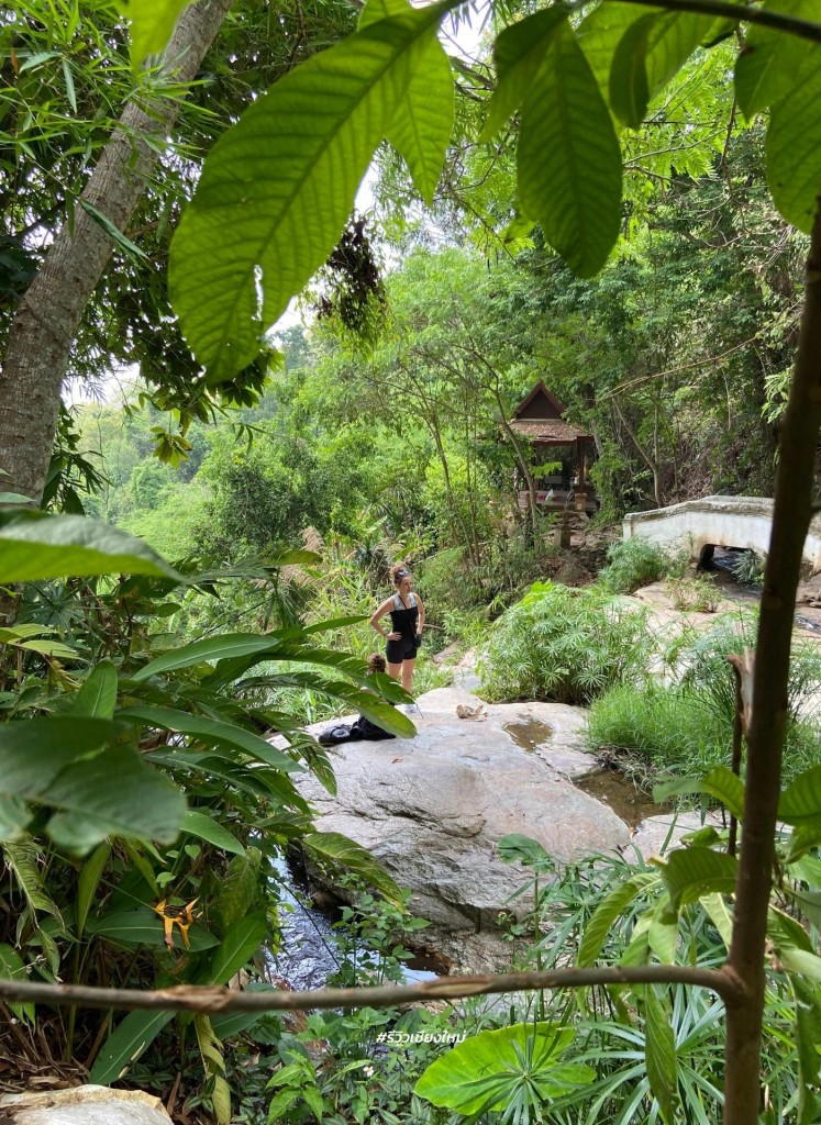 monk’s trail, reviewchiangmai, ดอยสุเทพ, รีวิวเชียงใหม่, วัดผาลาด, วิ่งเทรลเชียงใหม่, เดินป่าเชียงใหม่, เดินเขาเชียงใหม่, เดินป่าเชียงใหม่ พาเที่ยววัดผาลาด – ดอยสุเทพ เส้นทางศึกษาธรรมชาติ