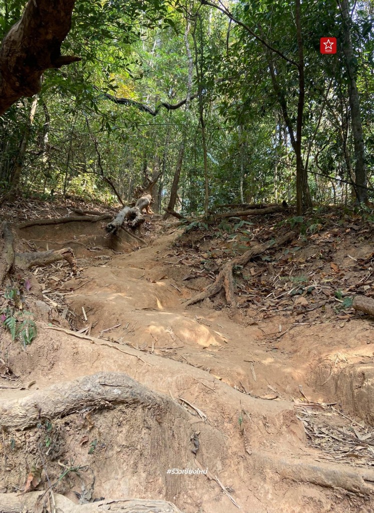 monk’s trail, reviewchiangmai, ดอยสุเทพ, รีวิวเชียงใหม่, วัดผาลาด, วิ่งเทรลเชียงใหม่, เดินป่าเชียงใหม่, เดินเขาเชียงใหม่, เดินป่าเชียงใหม่ พาเที่ยววัดผาลาด – ดอยสุเทพ เส้นทางศึกษาธรรมชาติ