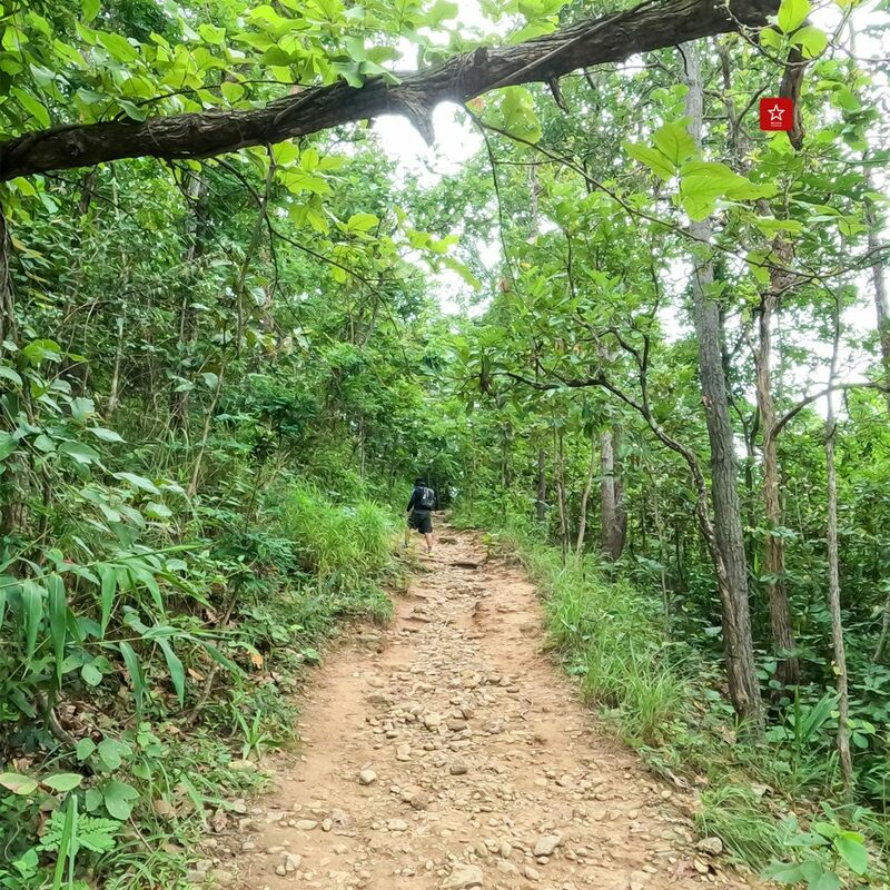 monk’s trail, reviewchiangmai, ดอยสุเทพ, รีวิวเชียงใหม่, วัดผาลาด, วิ่งเทรลเชียงใหม่, เดินป่าเชียงใหม่, เดินเขาเชียงใหม่, เดินป่าเชียงใหม่ พาเที่ยววัดผาลาด – ดอยสุเทพ เส้นทางศึกษาธรรมชาติ