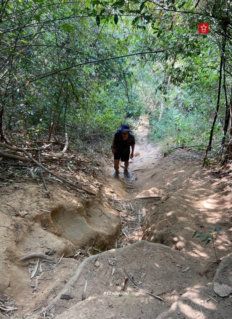 monk’s trail, reviewchiangmai, ดอยสุเทพ, รีวิวเชียงใหม่, วัดผาลาด, วิ่งเทรลเชียงใหม่, เดินป่าเชียงใหม่, เดินเขาเชียงใหม่, เดินป่าเชียงใหม่ พาเที่ยววัดผาลาด – ดอยสุเทพ เส้นทางศึกษาธรรมชาติ