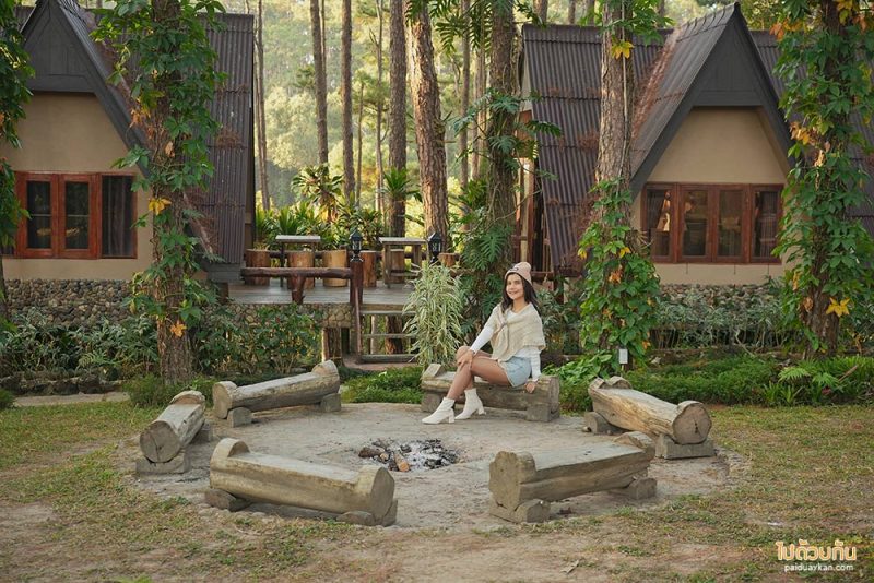 เที่ยวเชียงใหม่, สวนป่าดอยบ่อหลวง, เที่ยวอำเภอฮอด, สวนป่าดอยบ่อหลวง พักบ้านไม้สวย รถบ้าน กลางป่าสน