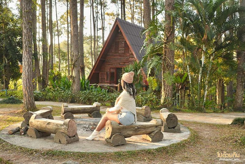 เที่ยวเชียงใหม่, สวนป่าดอยบ่อหลวง, เที่ยวอำเภอฮอด, สวนป่าดอยบ่อหลวง พักบ้านไม้สวย รถบ้าน กลางป่าสน