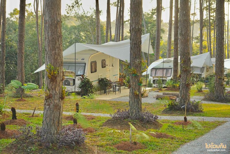 เที่ยวเชียงใหม่, สวนป่าดอยบ่อหลวง, เที่ยวอำเภอฮอด, สวนป่าดอยบ่อหลวง พักบ้านไม้สวย รถบ้าน กลางป่าสน