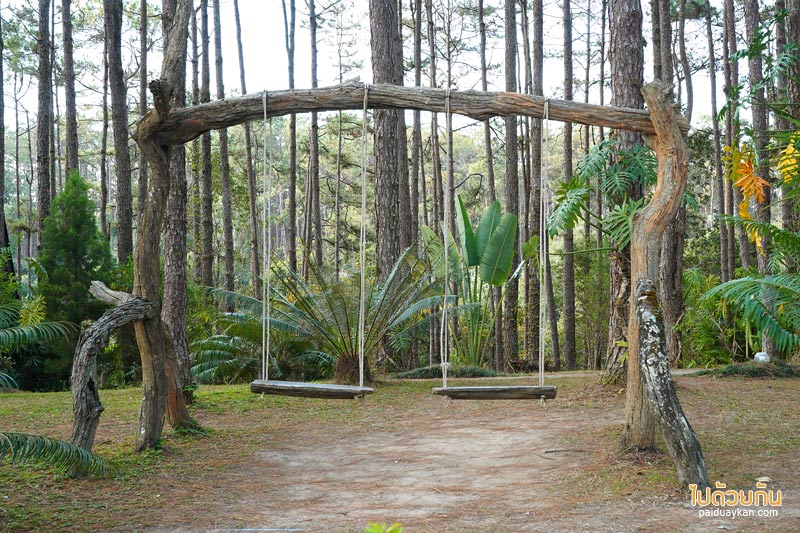 เที่ยวเชียงใหม่, สวนป่าดอยบ่อหลวง, เที่ยวอำเภอฮอด, สวนป่าดอยบ่อหลวง พักบ้านไม้สวย รถบ้าน กลางป่าสน