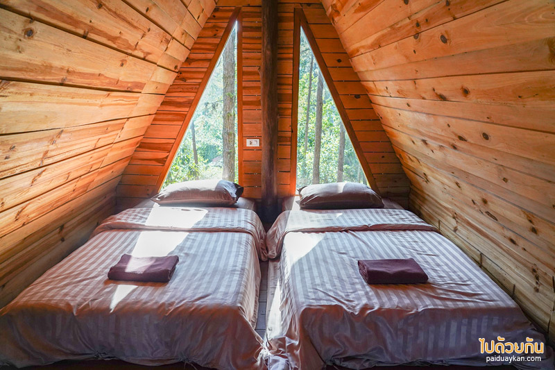 เที่ยวเชียงใหม่, สวนป่าดอยบ่อหลวง, เที่ยวอำเภอฮอด, สวนป่าดอยบ่อหลวง พักบ้านไม้สวย รถบ้าน กลางป่าสน