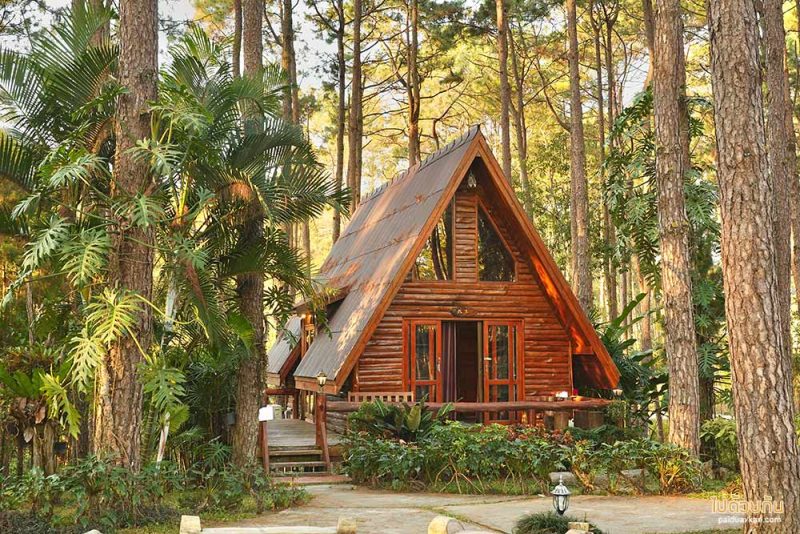 เที่ยวเชียงใหม่, สวนป่าดอยบ่อหลวง, เที่ยวอำเภอฮอด, สวนป่าดอยบ่อหลวง พักบ้านไม้สวย รถบ้าน กลางป่าสน