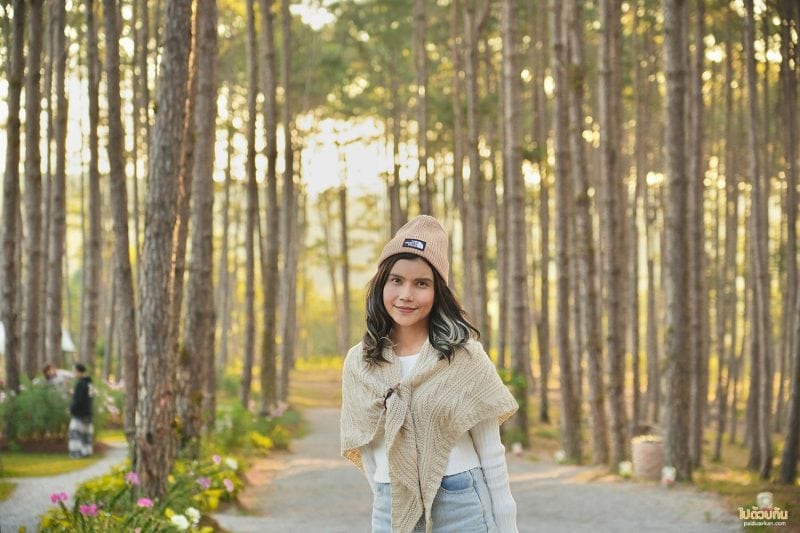 เที่ยวเชียงใหม่, สวนป่าดอยบ่อหลวง, เที่ยวอำเภอฮอด, สวนป่าดอยบ่อหลวง พักบ้านไม้สวย รถบ้าน กลางป่าสน