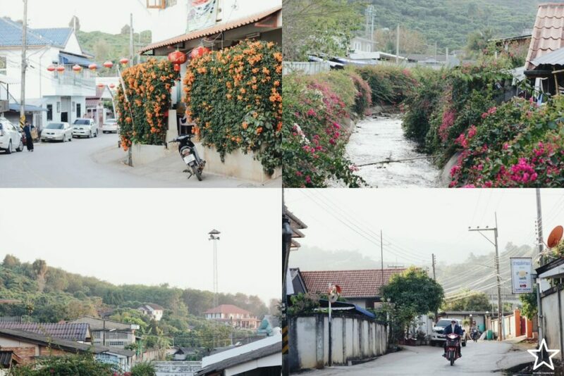 กาดหลวง, กิ่วแม่ปาน, กิ่วแม่ปานเชียงใหม่, จุดชมวิวทิวทัศน์ป่าสะเมิง, จุดชมวิวบ้านม้งดอยปุย, จุดชมวิวระหว่างทางขึ้นดอยสุเทพ, ดอยปู่หมื่น, ดอยหัวหมู, ดอยอินทนนท์, ตลาดจริงใจมาร์เก็ต, ถนนคนเดินท่าแพ, ถนนคนเดินวัวลาย, ท้องฟ้าจำลอง narit สถาบันวิจัยดาราศาสตร์แห่งชาติ, ที่เที่ยว เชียงใหม่, ที่เที่ยวดอยอินทนนท์, ที่เที่ยวฝาง, ที่เที่ยวม่อนแจ่ม, ที่เที่ยวสันกำแพง, ที่เที่ยวเชียงดาว, ที่เที่ยวแม่ริม, ที่เที่ยวแม่อาย, ที่เที่ยวแม่แตง, ที่เที่ยวไชยปราการ, น้ำตกมณฑาธาร, น้ำตกหมอกฟ้า, น้ำพุร้อนดอยสะเก็ด, น้ำพุร้อนฝาง, บ้านข้างวัด, บ้านสวนโกหลักอินทผลัมไทย, ป่าสนวัดจันทร์, พระตำหนักภูพิงคราชนิเวศน์, ม่อนเงาะ, ม่อนแจ่ม, ม่อนแดดน้อยโฮมสเตย์วิวงาม, ย่านวัวลาย, ร้านกระเป๋าสาน, ลานกางเต็นท์ดอยปุย, วัดพระธาตุดอยสุเทพราชวรวิหาร, วันต้นเกว๋น, ศูนย์พัฒนาโครงการหลวงทุ่งเริง, ศูนย์วิจัย สาธิตและฝึกอบรมการเกษตรแม่เหียะ, สวนกุหลาบหลวง, สวนป่าดอยบ่อหลวง, สวนพฤกษศาสตร์ฯ, สวนสนบ่อแก้ว, สวนสนแม่แตง, หมู่บ้านยาง, ห้วยตึงเฒ่า, หาที่เที่ยวเชียงใหม่, องค์การอุตสากหรรมป่าไม้, อ่างเก็บน้ำห้วยลาน, อ่างแก้ว มช., อุตสาชงที่บ้าน, อุทยานหลวงราชพฤกษ์, อุทยานแห่งชาติดอยผ้าห่มปก, อุทยานแห่งชาติห้วยน้ำดัง, เขื่อนแม่กวงอุดมธารา, เขื่อนแม่งัดสมบูรณ์ชล, เขื่อนแม่ออน, เคียงฟ้าธาราไพร, เจียงดารา-บ้านทุ่งหลุก, เที่ยวดอยเชียงใหม่, เที่ยวเชียงใหม่, เส้นทางศึกษาธรรมชาติกิ่วแม่ปาน, แม่กำปอง, โฮมสเตย์บ้านอุ้ยจมสม- หลานณนน, แจกวาร์ป 50 ที่เที่ยวเชียงใหม่ ออกไปเฟี้ยวได้ฉ่ำๆ