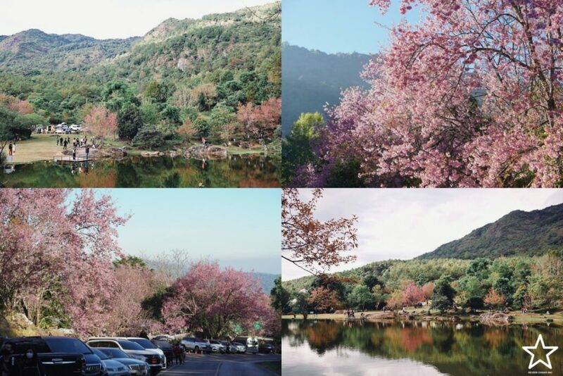 กาดหลวง, กิ่วแม่ปาน, กิ่วแม่ปานเชียงใหม่, จุดชมวิวทิวทัศน์ป่าสะเมิง, จุดชมวิวบ้านม้งดอยปุย, จุดชมวิวระหว่างทางขึ้นดอยสุเทพ, ดอยปู่หมื่น, ดอยหัวหมู, ดอยอินทนนท์, ตลาดจริงใจมาร์เก็ต, ถนนคนเดินท่าแพ, ถนนคนเดินวัวลาย, ท้องฟ้าจำลอง narit สถาบันวิจัยดาราศาสตร์แห่งชาติ, ที่เที่ยว เชียงใหม่, ที่เที่ยวดอยอินทนนท์, ที่เที่ยวฝาง, ที่เที่ยวม่อนแจ่ม, ที่เที่ยวสันกำแพง, ที่เที่ยวเชียงดาว, ที่เที่ยวแม่ริม, ที่เที่ยวแม่อาย, ที่เที่ยวแม่แตง, ที่เที่ยวไชยปราการ, น้ำตกมณฑาธาร, น้ำตกหมอกฟ้า, น้ำพุร้อนดอยสะเก็ด, น้ำพุร้อนฝาง, บ้านข้างวัด, บ้านสวนโกหลักอินทผลัมไทย, ป่าสนวัดจันทร์, พระตำหนักภูพิงคราชนิเวศน์, ม่อนเงาะ, ม่อนแจ่ม, ม่อนแดดน้อยโฮมสเตย์วิวงาม, ย่านวัวลาย, ร้านกระเป๋าสาน, ลานกางเต็นท์ดอยปุย, วัดพระธาตุดอยสุเทพราชวรวิหาร, วันต้นเกว๋น, ศูนย์พัฒนาโครงการหลวงทุ่งเริง, ศูนย์วิจัย สาธิตและฝึกอบรมการเกษตรแม่เหียะ, สวนกุหลาบหลวง, สวนป่าดอยบ่อหลวง, สวนพฤกษศาสตร์ฯ, สวนสนบ่อแก้ว, สวนสนแม่แตง, หมู่บ้านยาง, ห้วยตึงเฒ่า, หาที่เที่ยวเชียงใหม่, องค์การอุตสากหรรมป่าไม้, อ่างเก็บน้ำห้วยลาน, อ่างแก้ว มช., อุตสาชงที่บ้าน, อุทยานหลวงราชพฤกษ์, อุทยานแห่งชาติดอยผ้าห่มปก, อุทยานแห่งชาติห้วยน้ำดัง, เขื่อนแม่กวงอุดมธารา, เขื่อนแม่งัดสมบูรณ์ชล, เขื่อนแม่ออน, เคียงฟ้าธาราไพร, เจียงดารา-บ้านทุ่งหลุก, เที่ยวดอยเชียงใหม่, เที่ยวเชียงใหม่, เส้นทางศึกษาธรรมชาติกิ่วแม่ปาน, แม่กำปอง, โฮมสเตย์บ้านอุ้ยจมสม- หลานณนน, แจกวาร์ป 50 ที่เที่ยวเชียงใหม่ ออกไปเฟี้ยวได้ฉ่ำๆ