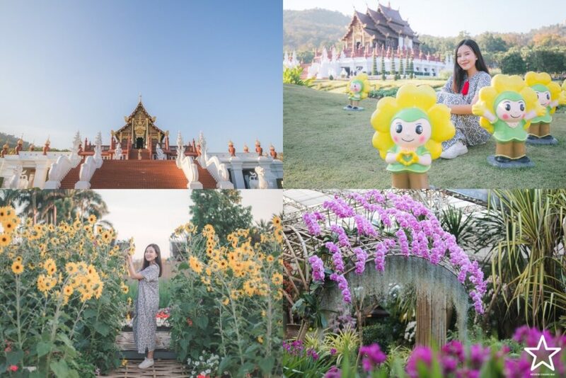 กาดหลวง, กิ่วแม่ปาน, กิ่วแม่ปานเชียงใหม่, จุดชมวิวทิวทัศน์ป่าสะเมิง, จุดชมวิวบ้านม้งดอยปุย, จุดชมวิวระหว่างทางขึ้นดอยสุเทพ, ดอยปู่หมื่น, ดอยหัวหมู, ดอยอินทนนท์, ตลาดจริงใจมาร์เก็ต, ถนนคนเดินท่าแพ, ถนนคนเดินวัวลาย, ท้องฟ้าจำลอง narit สถาบันวิจัยดาราศาสตร์แห่งชาติ, ที่เที่ยว เชียงใหม่, ที่เที่ยวดอยอินทนนท์, ที่เที่ยวฝาง, ที่เที่ยวม่อนแจ่ม, ที่เที่ยวสันกำแพง, ที่เที่ยวเชียงดาว, ที่เที่ยวแม่ริม, ที่เที่ยวแม่อาย, ที่เที่ยวแม่แตง, ที่เที่ยวไชยปราการ, น้ำตกมณฑาธาร, น้ำตกหมอกฟ้า, น้ำพุร้อนดอยสะเก็ด, น้ำพุร้อนฝาง, บ้านข้างวัด, บ้านสวนโกหลักอินทผลัมไทย, ป่าสนวัดจันทร์, พระตำหนักภูพิงคราชนิเวศน์, ม่อนเงาะ, ม่อนแจ่ม, ม่อนแดดน้อยโฮมสเตย์วิวงาม, ย่านวัวลาย, ร้านกระเป๋าสาน, ลานกางเต็นท์ดอยปุย, วัดพระธาตุดอยสุเทพราชวรวิหาร, วันต้นเกว๋น, ศูนย์พัฒนาโครงการหลวงทุ่งเริง, ศูนย์วิจัย สาธิตและฝึกอบรมการเกษตรแม่เหียะ, สวนกุหลาบหลวง, สวนป่าดอยบ่อหลวง, สวนพฤกษศาสตร์ฯ, สวนสนบ่อแก้ว, สวนสนแม่แตง, หมู่บ้านยาง, ห้วยตึงเฒ่า, หาที่เที่ยวเชียงใหม่, องค์การอุตสากหรรมป่าไม้, อ่างเก็บน้ำห้วยลาน, อ่างแก้ว มช., อุตสาชงที่บ้าน, อุทยานหลวงราชพฤกษ์, อุทยานแห่งชาติดอยผ้าห่มปก, อุทยานแห่งชาติห้วยน้ำดัง, เขื่อนแม่กวงอุดมธารา, เขื่อนแม่งัดสมบูรณ์ชล, เขื่อนแม่ออน, เคียงฟ้าธาราไพร, เจียงดารา-บ้านทุ่งหลุก, เที่ยวดอยเชียงใหม่, เที่ยวเชียงใหม่, เส้นทางศึกษาธรรมชาติกิ่วแม่ปาน, แม่กำปอง, โฮมสเตย์บ้านอุ้ยจมสม- หลานณนน, แจกวาร์ป 50 ที่เที่ยวเชียงใหม่ ออกไปเฟี้ยวได้ฉ่ำๆ