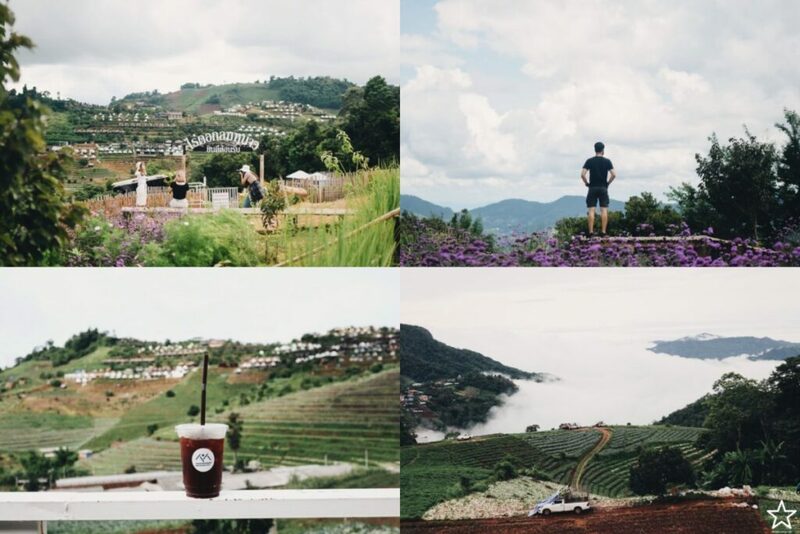 กาดหลวง, กิ่วแม่ปาน, กิ่วแม่ปานเชียงใหม่, จุดชมวิวทิวทัศน์ป่าสะเมิง, จุดชมวิวบ้านม้งดอยปุย, จุดชมวิวระหว่างทางขึ้นดอยสุเทพ, ดอยปู่หมื่น, ดอยหัวหมู, ดอยอินทนนท์, ตลาดจริงใจมาร์เก็ต, ถนนคนเดินท่าแพ, ถนนคนเดินวัวลาย, ท้องฟ้าจำลอง narit สถาบันวิจัยดาราศาสตร์แห่งชาติ, ที่เที่ยว เชียงใหม่, ที่เที่ยวดอยอินทนนท์, ที่เที่ยวฝาง, ที่เที่ยวม่อนแจ่ม, ที่เที่ยวสันกำแพง, ที่เที่ยวเชียงดาว, ที่เที่ยวแม่ริม, ที่เที่ยวแม่อาย, ที่เที่ยวแม่แตง, ที่เที่ยวไชยปราการ, น้ำตกมณฑาธาร, น้ำตกหมอกฟ้า, น้ำพุร้อนดอยสะเก็ด, น้ำพุร้อนฝาง, บ้านข้างวัด, บ้านสวนโกหลักอินทผลัมไทย, ป่าสนวัดจันทร์, พระตำหนักภูพิงคราชนิเวศน์, ม่อนเงาะ, ม่อนแจ่ม, ม่อนแดดน้อยโฮมสเตย์วิวงาม, ย่านวัวลาย, ร้านกระเป๋าสาน, ลานกางเต็นท์ดอยปุย, วัดพระธาตุดอยสุเทพราชวรวิหาร, วันต้นเกว๋น, ศูนย์พัฒนาโครงการหลวงทุ่งเริง, ศูนย์วิจัย สาธิตและฝึกอบรมการเกษตรแม่เหียะ, สวนกุหลาบหลวง, สวนป่าดอยบ่อหลวง, สวนพฤกษศาสตร์ฯ, สวนสนบ่อแก้ว, สวนสนแม่แตง, หมู่บ้านยาง, ห้วยตึงเฒ่า, หาที่เที่ยวเชียงใหม่, องค์การอุตสากหรรมป่าไม้, อ่างเก็บน้ำห้วยลาน, อ่างแก้ว มช., อุตสาชงที่บ้าน, อุทยานหลวงราชพฤกษ์, อุทยานแห่งชาติดอยผ้าห่มปก, อุทยานแห่งชาติห้วยน้ำดัง, เขื่อนแม่กวงอุดมธารา, เขื่อนแม่งัดสมบูรณ์ชล, เขื่อนแม่ออน, เคียงฟ้าธาราไพร, เจียงดารา-บ้านทุ่งหลุก, เที่ยวดอยเชียงใหม่, เที่ยวเชียงใหม่, เส้นทางศึกษาธรรมชาติกิ่วแม่ปาน, แม่กำปอง, โฮมสเตย์บ้านอุ้ยจมสม- หลานณนน, แจกวาร์ป 50 ที่เที่ยวเชียงใหม่ ออกไปเฟี้ยวได้ฉ่ำๆ