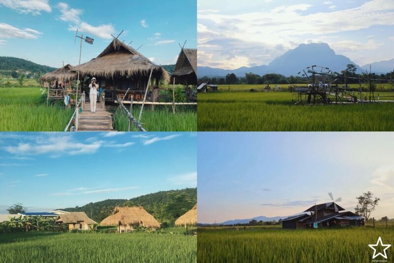 กาดหลวง, กิ่วแม่ปาน, กิ่วแม่ปานเชียงใหม่, จุดชมวิวทิวทัศน์ป่าสะเมิง, จุดชมวิวบ้านม้งดอยปุย, จุดชมวิวระหว่างทางขึ้นดอยสุเทพ, ดอยปู่หมื่น, ดอยหัวหมู, ดอยอินทนนท์, ตลาดจริงใจมาร์เก็ต, ถนนคนเดินท่าแพ, ถนนคนเดินวัวลาย, ท้องฟ้าจำลอง narit สถาบันวิจัยดาราศาสตร์แห่งชาติ, ที่เที่ยว เชียงใหม่, ที่เที่ยวดอยอินทนนท์, ที่เที่ยวฝาง, ที่เที่ยวม่อนแจ่ม, ที่เที่ยวสันกำแพง, ที่เที่ยวเชียงดาว, ที่เที่ยวแม่ริม, ที่เที่ยวแม่อาย, ที่เที่ยวแม่แตง, ที่เที่ยวไชยปราการ, น้ำตกมณฑาธาร, น้ำตกหมอกฟ้า, น้ำพุร้อนดอยสะเก็ด, น้ำพุร้อนฝาง, บ้านข้างวัด, บ้านสวนโกหลักอินทผลัมไทย, ป่าสนวัดจันทร์, พระตำหนักภูพิงคราชนิเวศน์, ม่อนเงาะ, ม่อนแจ่ม, ม่อนแดดน้อยโฮมสเตย์วิวงาม, ย่านวัวลาย, ร้านกระเป๋าสาน, ลานกางเต็นท์ดอยปุย, วัดพระธาตุดอยสุเทพราชวรวิหาร, วันต้นเกว๋น, ศูนย์พัฒนาโครงการหลวงทุ่งเริง, ศูนย์วิจัย สาธิตและฝึกอบรมการเกษตรแม่เหียะ, สวนกุหลาบหลวง, สวนป่าดอยบ่อหลวง, สวนพฤกษศาสตร์ฯ, สวนสนบ่อแก้ว, สวนสนแม่แตง, หมู่บ้านยาง, ห้วยตึงเฒ่า, หาที่เที่ยวเชียงใหม่, องค์การอุตสากหรรมป่าไม้, อ่างเก็บน้ำห้วยลาน, อ่างแก้ว มช., อุตสาชงที่บ้าน, อุทยานหลวงราชพฤกษ์, อุทยานแห่งชาติดอยผ้าห่มปก, อุทยานแห่งชาติห้วยน้ำดัง, เขื่อนแม่กวงอุดมธารา, เขื่อนแม่งัดสมบูรณ์ชล, เขื่อนแม่ออน, เคียงฟ้าธาราไพร, เจียงดารา-บ้านทุ่งหลุก, เที่ยวดอยเชียงใหม่, เที่ยวเชียงใหม่, เส้นทางศึกษาธรรมชาติกิ่วแม่ปาน, แม่กำปอง, โฮมสเตย์บ้านอุ้ยจมสม- หลานณนน, แจกวาร์ป 50 ที่เที่ยวเชียงใหม่ ออกไปเฟี้ยวได้ฉ่ำๆ