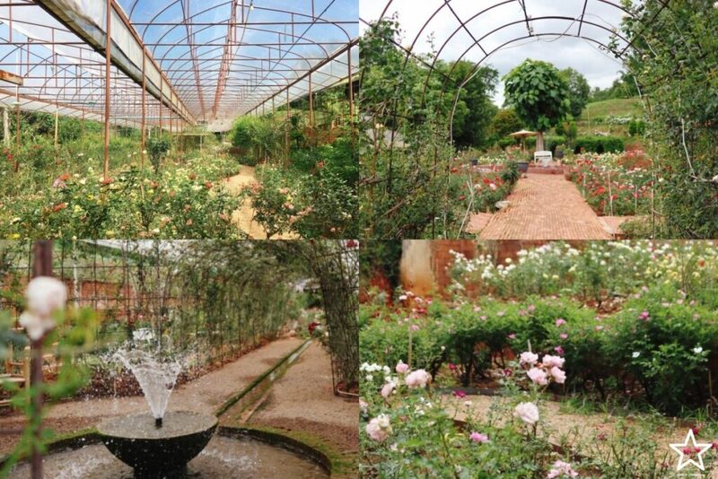 กาดหลวง, กิ่วแม่ปาน, กิ่วแม่ปานเชียงใหม่, จุดชมวิวทิวทัศน์ป่าสะเมิง, จุดชมวิวบ้านม้งดอยปุย, จุดชมวิวระหว่างทางขึ้นดอยสุเทพ, ดอยปู่หมื่น, ดอยหัวหมู, ดอยอินทนนท์, ตลาดจริงใจมาร์เก็ต, ถนนคนเดินท่าแพ, ถนนคนเดินวัวลาย, ท้องฟ้าจำลอง narit สถาบันวิจัยดาราศาสตร์แห่งชาติ, ที่เที่ยว เชียงใหม่, ที่เที่ยวดอยอินทนนท์, ที่เที่ยวฝาง, ที่เที่ยวม่อนแจ่ม, ที่เที่ยวสันกำแพง, ที่เที่ยวเชียงดาว, ที่เที่ยวแม่ริม, ที่เที่ยวแม่อาย, ที่เที่ยวแม่แตง, ที่เที่ยวไชยปราการ, น้ำตกมณฑาธาร, น้ำตกหมอกฟ้า, น้ำพุร้อนดอยสะเก็ด, น้ำพุร้อนฝาง, บ้านข้างวัด, บ้านสวนโกหลักอินทผลัมไทย, ป่าสนวัดจันทร์, พระตำหนักภูพิงคราชนิเวศน์, ม่อนเงาะ, ม่อนแจ่ม, ม่อนแดดน้อยโฮมสเตย์วิวงาม, ย่านวัวลาย, ร้านกระเป๋าสาน, ลานกางเต็นท์ดอยปุย, วัดพระธาตุดอยสุเทพราชวรวิหาร, วันต้นเกว๋น, ศูนย์พัฒนาโครงการหลวงทุ่งเริง, ศูนย์วิจัย สาธิตและฝึกอบรมการเกษตรแม่เหียะ, สวนกุหลาบหลวง, สวนป่าดอยบ่อหลวง, สวนพฤกษศาสตร์ฯ, สวนสนบ่อแก้ว, สวนสนแม่แตง, หมู่บ้านยาง, ห้วยตึงเฒ่า, หาที่เที่ยวเชียงใหม่, องค์การอุตสากหรรมป่าไม้, อ่างเก็บน้ำห้วยลาน, อ่างแก้ว มช., อุตสาชงที่บ้าน, อุทยานหลวงราชพฤกษ์, อุทยานแห่งชาติดอยผ้าห่มปก, อุทยานแห่งชาติห้วยน้ำดัง, เขื่อนแม่กวงอุดมธารา, เขื่อนแม่งัดสมบูรณ์ชล, เขื่อนแม่ออน, เคียงฟ้าธาราไพร, เจียงดารา-บ้านทุ่งหลุก, เที่ยวดอยเชียงใหม่, เที่ยวเชียงใหม่, เส้นทางศึกษาธรรมชาติกิ่วแม่ปาน, แม่กำปอง, โฮมสเตย์บ้านอุ้ยจมสม- หลานณนน, แจกวาร์ป 50 ที่เที่ยวเชียงใหม่ ออกไปเฟี้ยวได้ฉ่ำๆ