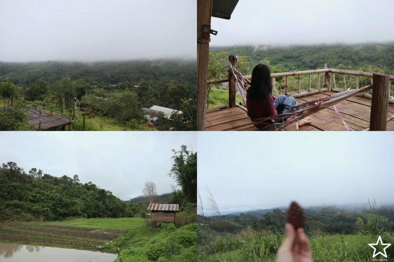 กาดหลวง, กิ่วแม่ปาน, กิ่วแม่ปานเชียงใหม่, จุดชมวิวทิวทัศน์ป่าสะเมิง, จุดชมวิวบ้านม้งดอยปุย, จุดชมวิวระหว่างทางขึ้นดอยสุเทพ, ดอยปู่หมื่น, ดอยหัวหมู, ดอยอินทนนท์, ตลาดจริงใจมาร์เก็ต, ถนนคนเดินท่าแพ, ถนนคนเดินวัวลาย, ท้องฟ้าจำลอง narit สถาบันวิจัยดาราศาสตร์แห่งชาติ, ที่เที่ยว เชียงใหม่, ที่เที่ยวดอยอินทนนท์, ที่เที่ยวฝาง, ที่เที่ยวม่อนแจ่ม, ที่เที่ยวสันกำแพง, ที่เที่ยวเชียงดาว, ที่เที่ยวแม่ริม, ที่เที่ยวแม่อาย, ที่เที่ยวแม่แตง, ที่เที่ยวไชยปราการ, น้ำตกมณฑาธาร, น้ำตกหมอกฟ้า, น้ำพุร้อนดอยสะเก็ด, น้ำพุร้อนฝาง, บ้านข้างวัด, บ้านสวนโกหลักอินทผลัมไทย, ป่าสนวัดจันทร์, พระตำหนักภูพิงคราชนิเวศน์, ม่อนเงาะ, ม่อนแจ่ม, ม่อนแดดน้อยโฮมสเตย์วิวงาม, ย่านวัวลาย, ร้านกระเป๋าสาน, ลานกางเต็นท์ดอยปุย, วัดพระธาตุดอยสุเทพราชวรวิหาร, วันต้นเกว๋น, ศูนย์พัฒนาโครงการหลวงทุ่งเริง, ศูนย์วิจัย สาธิตและฝึกอบรมการเกษตรแม่เหียะ, สวนกุหลาบหลวง, สวนป่าดอยบ่อหลวง, สวนพฤกษศาสตร์ฯ, สวนสนบ่อแก้ว, สวนสนแม่แตง, หมู่บ้านยาง, ห้วยตึงเฒ่า, หาที่เที่ยวเชียงใหม่, องค์การอุตสากหรรมป่าไม้, อ่างเก็บน้ำห้วยลาน, อ่างแก้ว มช., อุตสาชงที่บ้าน, อุทยานหลวงราชพฤกษ์, อุทยานแห่งชาติดอยผ้าห่มปก, อุทยานแห่งชาติห้วยน้ำดัง, เขื่อนแม่กวงอุดมธารา, เขื่อนแม่งัดสมบูรณ์ชล, เขื่อนแม่ออน, เคียงฟ้าธาราไพร, เจียงดารา-บ้านทุ่งหลุก, เที่ยวดอยเชียงใหม่, เที่ยวเชียงใหม่, เส้นทางศึกษาธรรมชาติกิ่วแม่ปาน, แม่กำปอง, โฮมสเตย์บ้านอุ้ยจมสม- หลานณนน, แจกวาร์ป 50 ที่เที่ยวเชียงใหม่ ออกไปเฟี้ยวได้ฉ่ำๆ