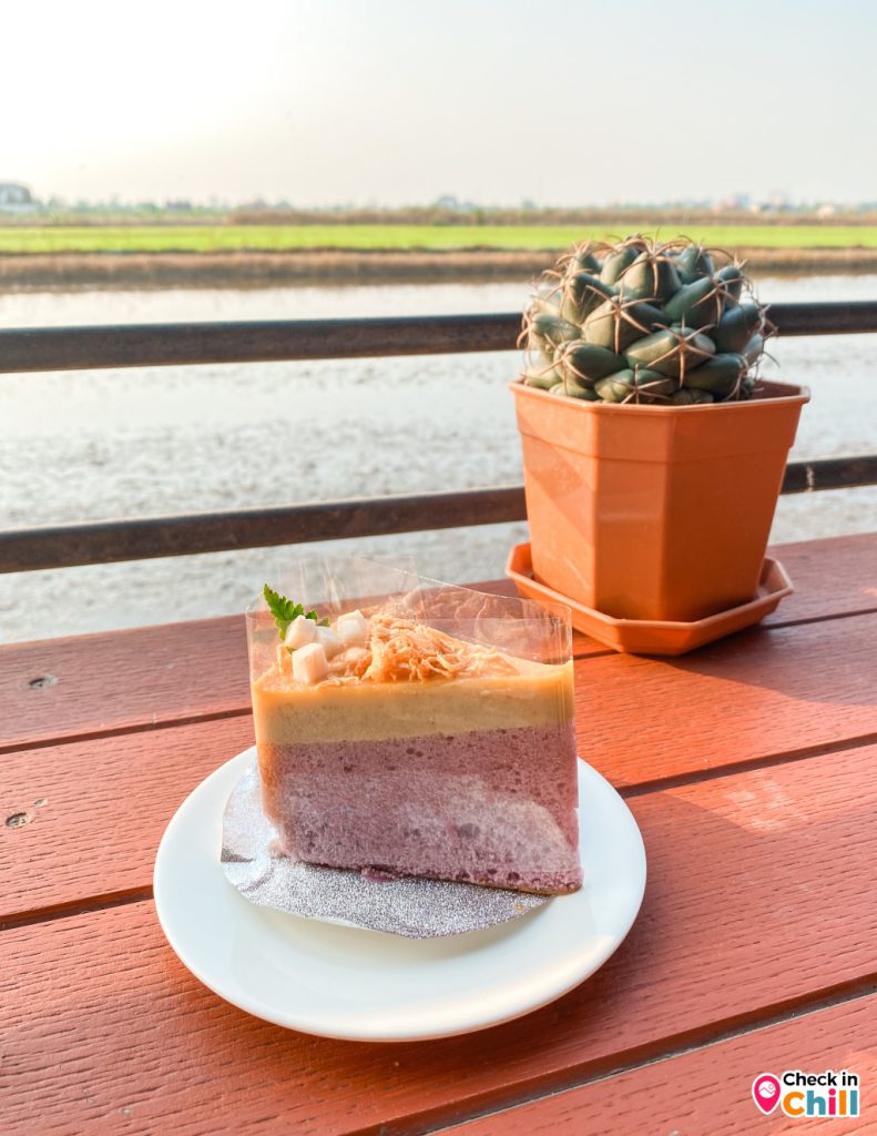 kanya cafe, kanya คาเฟ่ปทุมธานี, กัญญา คาเฟ่, คาเฟ่, คาเฟ่ปทุม, คาเฟ่ปทุมธานี, คาเฟ่ริมทุ่งนา, คาเฟ่ใกล้ฉัน, ร้านกัญญา, ร้านกัญญา คาเฟ่, รีวิว ร้าน kanya cafe คาเฟ่และร้านอาหาร สไตล์ชนบท อบอุ่น เป็นกันเอง ฟีลบ้านกลางทุ่งนา