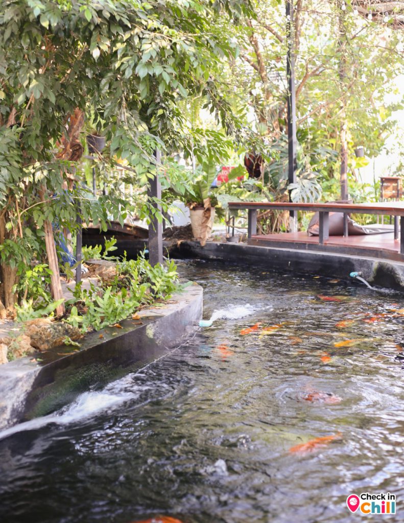 kanya cafe, kanya คาเฟ่ปทุมธานี, กัญญา คาเฟ่, คาเฟ่, คาเฟ่ปทุม, คาเฟ่ปทุมธานี, คาเฟ่ริมทุ่งนา, คาเฟ่ใกล้ฉัน, ร้านกัญญา, ร้านกัญญา คาเฟ่, รีวิว ร้าน kanya cafe คาเฟ่และร้านอาหาร สไตล์ชนบท อบอุ่น เป็นกันเอง ฟีลบ้านกลางทุ่งนา