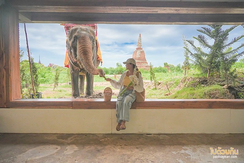 ร้านอาหารอยุธยา, อยุธยา, คาเฟ่อยุธยา, ร้านกาแฟอยุธยา, รีวิวคาเฟ่อยุธยา, top 25+ คาเฟ่อยุธยา คาเฟ่ริมน้ำ วิววัด มินิมอล ฟีลญี่ปุ่น ใจกลางเมืองเก่า