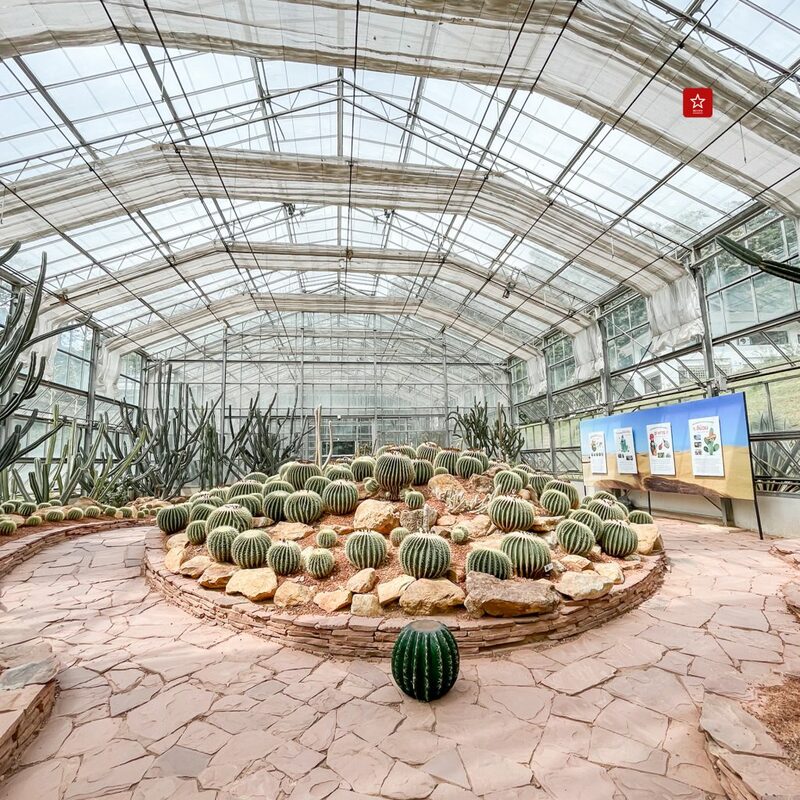 hotspringsvantransport, reviewchiangmai, ที่เที่ยวม่อนแจ่ม, ที่เที่ยวเชียงใหม่, ม่อนแจ่ม, รถตู้ม่อนแจ่ม, รถตู้เชียงใหม่, รีวิวเชียงใหม่, สกายวอร์ค, สวนพฤกษศาสตร์, ฮอทสปริงแวนทรานสปอร์ต, โป่งแยง, ม่อนแจ่ม ไม่มีรถ ก็เที่ยวได้ one day trip ทริปนี้มีแต่ม่อนแจ่ม