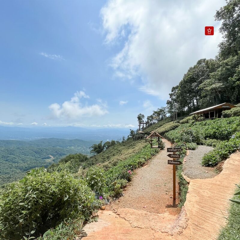 hotspringsvantransport, reviewchiangmai, ที่เที่ยวม่อนแจ่ม, ที่เที่ยวเชียงใหม่, ม่อนแจ่ม, รถตู้ม่อนแจ่ม, รถตู้เชียงใหม่, รีวิวเชียงใหม่, สกายวอร์ค, สวนพฤกษศาสตร์, ฮอทสปริงแวนทรานสปอร์ต, โป่งแยง, ม่อนแจ่ม ไม่มีรถ ก็เที่ยวได้ one day trip ทริปนี้มีแต่ม่อนแจ่ม