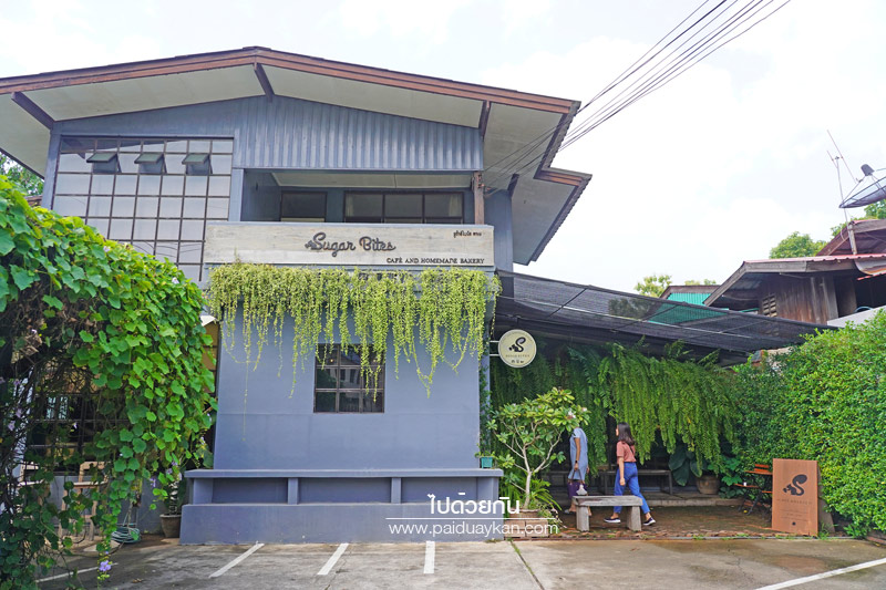 คาเฟ่แพร่, ร้านกาแฟแพร่, sugar bites café แพร่, sugar bites café  แพร่
