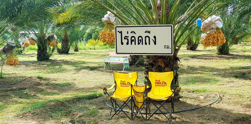 top 11+ ที่พักวังน้ำเขียว 2567 ที่พักวิวสวย ใกล้ชิดธรรมชาติ อัปเดตล่าสุด