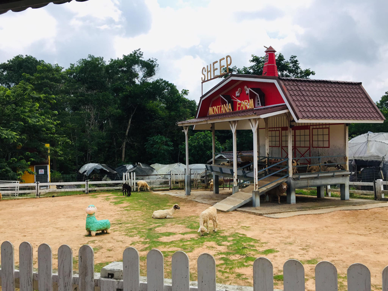 top 11+ ที่พักวังน้ำเขียว 2567 ที่พักวิวสวย ใกล้ชิดธรรมชาติ อัปเดตล่าสุด