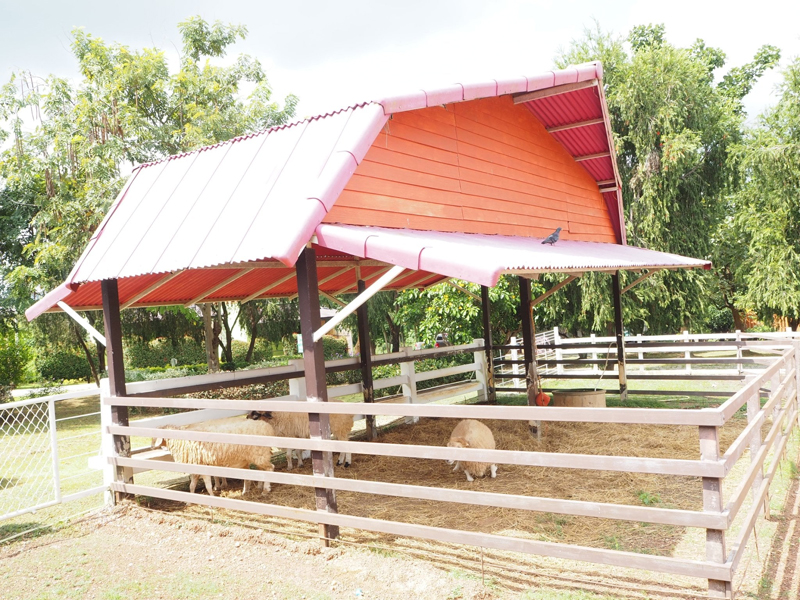 top 11+ ที่พักวังน้ำเขียว 2567 ที่พักวิวสวย ใกล้ชิดธรรมชาติ อัปเดตล่าสุด