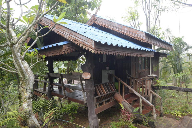 top 11+ ที่พักวังน้ำเขียว 2567 ที่พักวิวสวย ใกล้ชิดธรรมชาติ อัปเดตล่าสุด