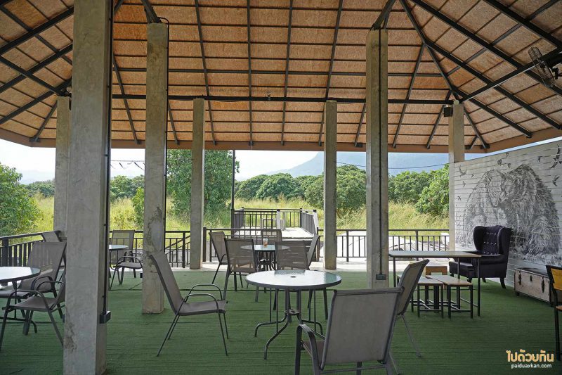 black bear cafe เชียงดาว, คาเฟ่เชียงดาว, ร้านกาแฟเชียงดาว, black bear cafe เชียงดาว คาเฟ่หมีสุดเก๋ วิวดอยหลวง