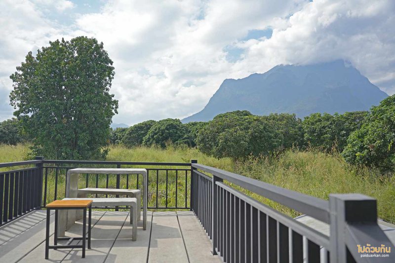 black bear cafe เชียงดาว, คาเฟ่เชียงดาว, ร้านกาแฟเชียงดาว, black bear cafe เชียงดาว คาเฟ่หมีสุดเก๋ วิวดอยหลวง