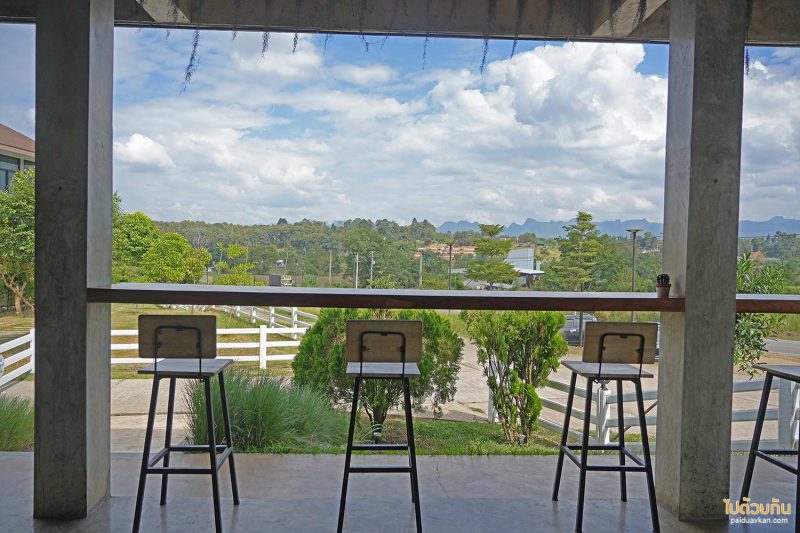 black bear cafe เชียงดาว, คาเฟ่เชียงดาว, ร้านกาแฟเชียงดาว, black bear cafe เชียงดาว คาเฟ่หมีสุดเก๋ วิวดอยหลวง