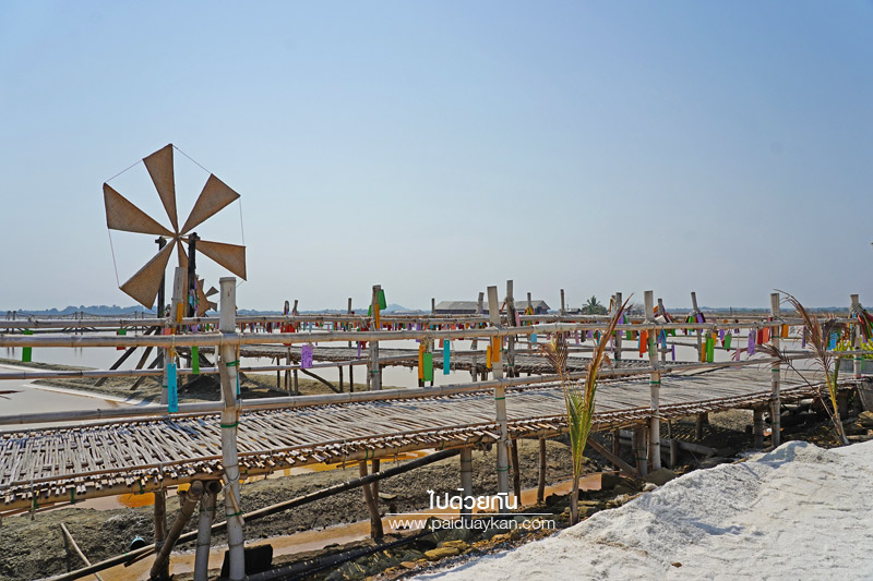 เพชรบุรี, เที่ยวบ้านแหลม, ยุ้งเกลือ บ้านแหลม, บ้านแหลม, เที่ยวบางตะบูน, ยุ้งเกลือ บ้านแหลม ร้านอาหารตกแต่งน่ารัก วิวนาเกลือ