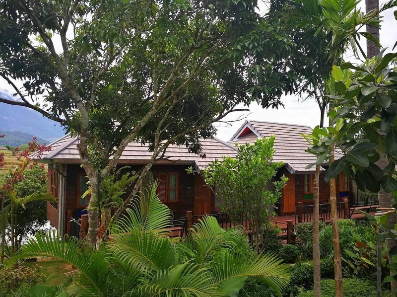 top 11+ ที่พักเชียงดาว ที่พักบนดอยวิวสวย บรรยากาศโดนใจ