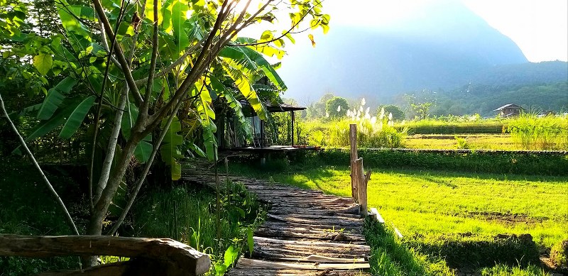 top 11+ ที่พักเชียงดาว ที่พักบนดอยวิวสวย บรรยากาศโดนใจ