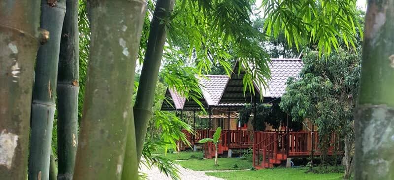 top 11+ ที่พักเชียงดาว ที่พักบนดอยวิวสวย บรรยากาศโดนใจ