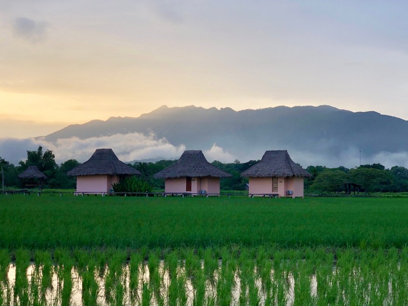 top 11+ ที่พักเชียงดาว ที่พักบนดอยวิวสวย บรรยากาศโดนใจ