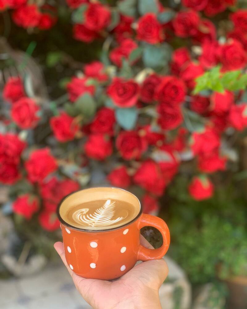 top 34+ คาเฟ่ระยองน่านั่งบรรยากาศดีถ่ายรูปก็ปัง เชิญมาลองระยองฮิ!