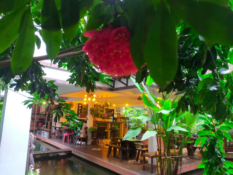 top 34+ คาเฟ่ระยองน่านั่งบรรยากาศดีถ่ายรูปก็ปัง เชิญมาลองระยองฮิ!