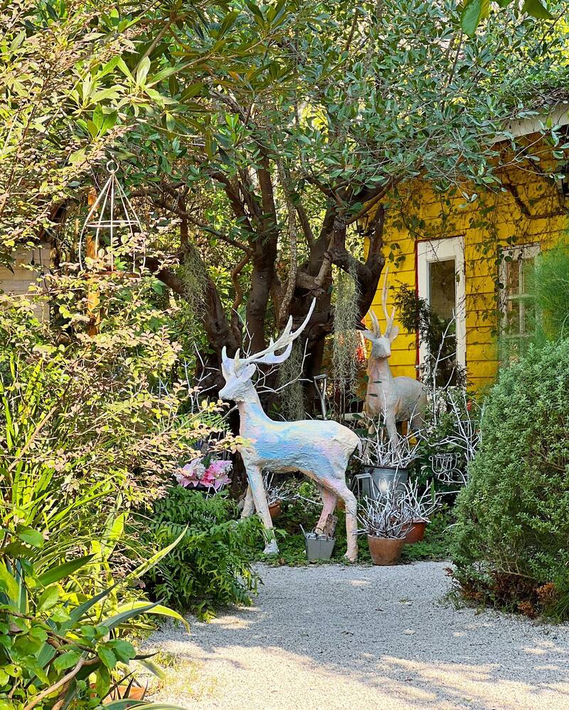 top 34+ คาเฟ่ระยองน่านั่งบรรยากาศดีถ่ายรูปก็ปัง เชิญมาลองระยองฮิ!