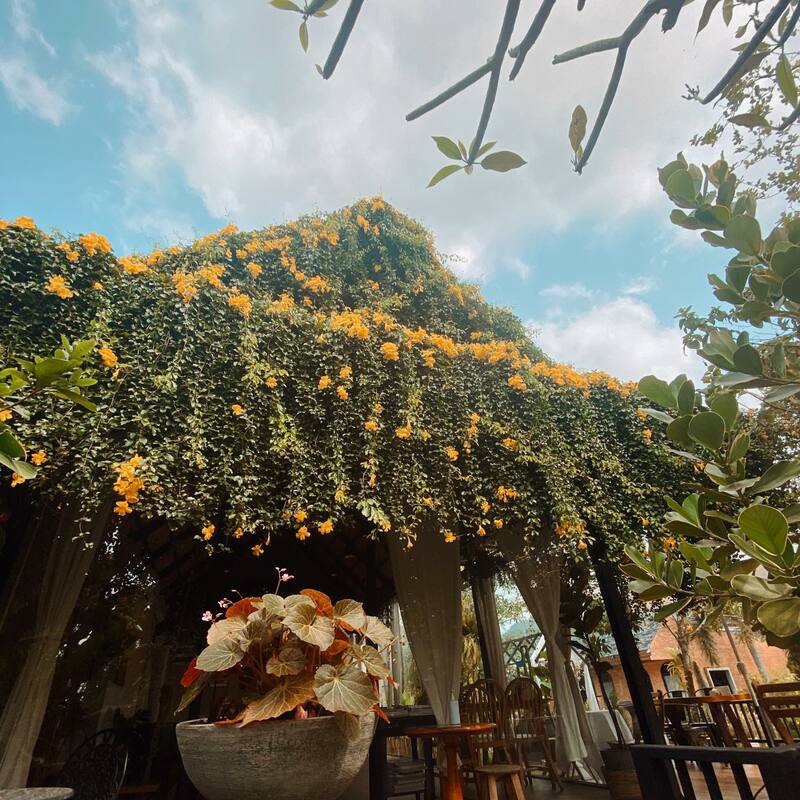 top 34+ คาเฟ่ระยองน่านั่งบรรยากาศดีถ่ายรูปก็ปัง เชิญมาลองระยองฮิ!